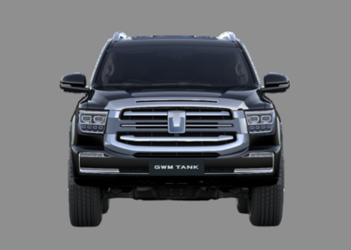 GWM-Tank-500